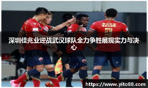 zoty中欧官方网站